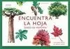 ENCUENTRA LA HOJA