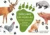 DESCUBRE LAS HUELLAS CERCANAS