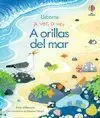 A ORILLAS DEL MAR A ORILLAS DEL MAR