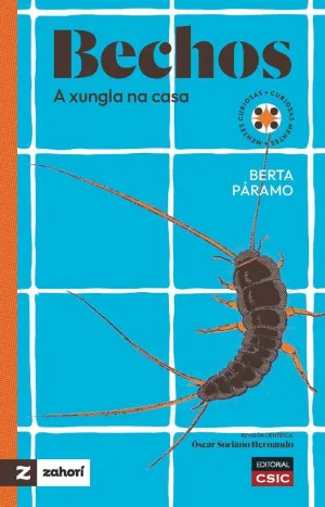 BECHOS. A XUNGLA NA CASA