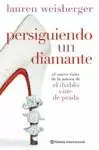 PERSIGUIENDO UN DIAMANTE PERSIGUIENDO UN DIAMANTE