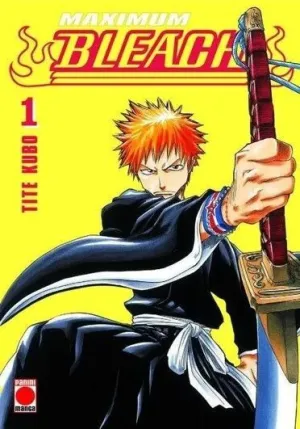 BLEACH, 01. (MAXIMUM)
