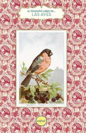 EL PEQUEÑO LIBRO DE... LAS AVES