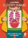 EL CUERPO HUMANO