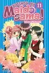 KAICHOU WA MAID-SAMA! 11