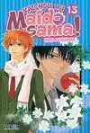KAICHOU WA MAID-SAMA! 13