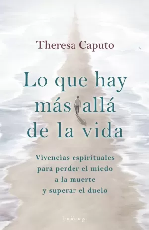LO QUE HAY MÁS ALLÁ DE LA VIDA LO QUE HAY MÁS ALLÁ DE LA VIDA