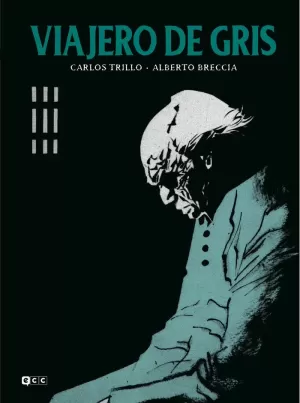 VIAJERO DE GRIS