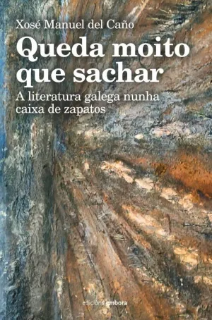 QUEDA MOTO QUE SACHAR