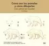CÓMO SON LOS ANIMALES Y CÓMO DIBUJARLOS CON LÁPICES DE COLORES CÓMO SON LOS ANIMALES Y CÓMO DIBUJARLOS CON LÁPICES DE COLORES