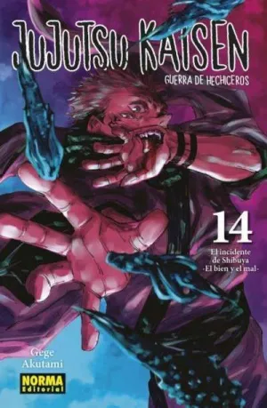 JUJUTSU KAISEN. GUERRA DE HECHICEROS, 14