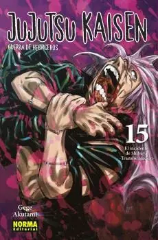 JUJUTSU KAISEN. GUERRA DE HECHICEROS, 15