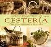 CURSO PRÁCTICO DE CESTERÍA