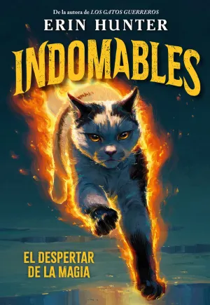 EL DESPERTAR DE LA MAGIA